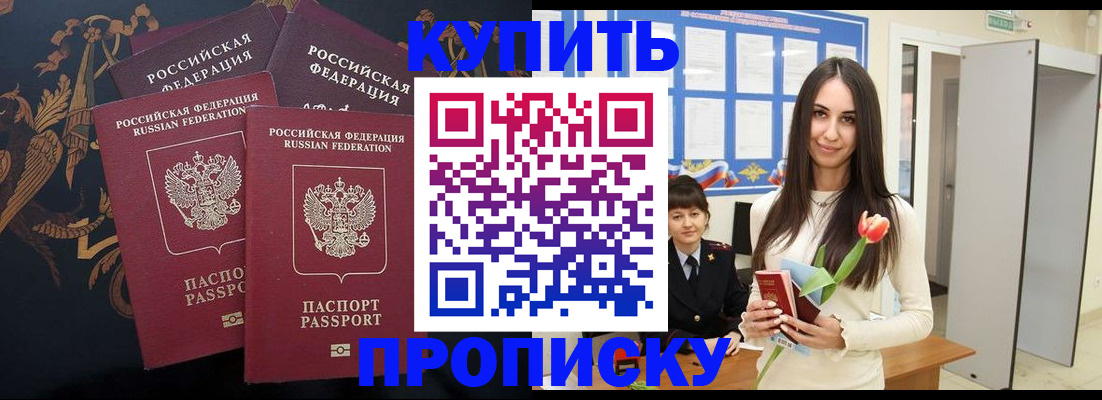 прописка гарантия в Светлогорске